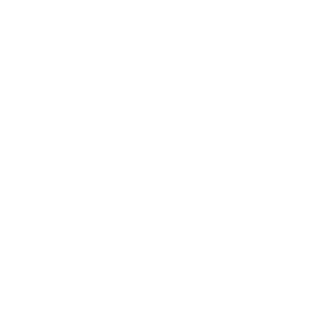 condizioni di vendita Linea Flesh